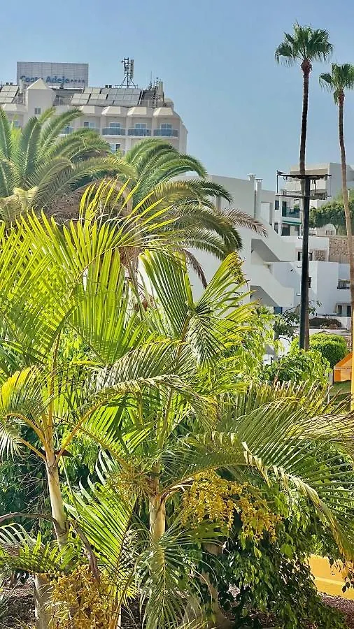 Beautiful 1Bd Apartment In Los Cristianos Costa Adeje  0*, Costa Adeje (Tenerife)